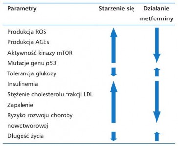 Kliknij, aby powiększyć zdjęcie.